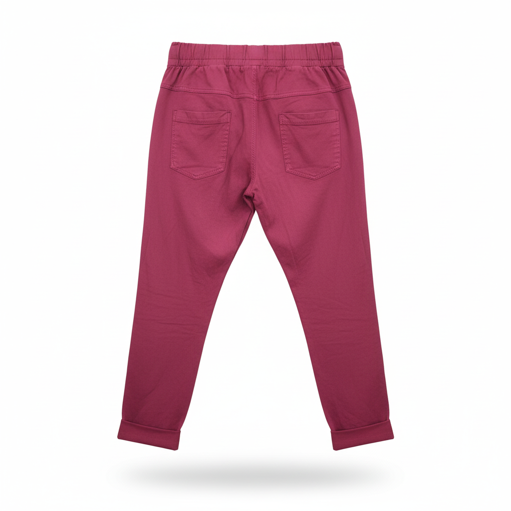 CALÇA SKINNY CARLA GIANNINI BORDO ESTRELA PRATA BRILHO TECIDO REGULADOR BOLSOS